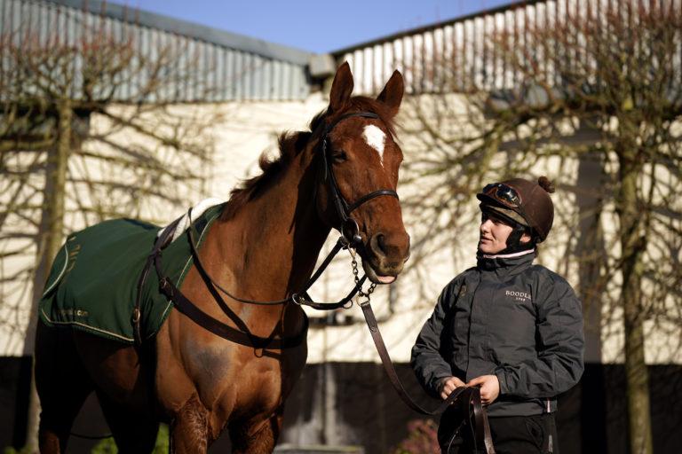 State Man is the Champion Hurdle favourite