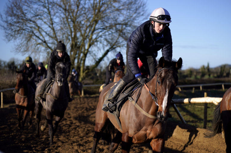 Paddy Hanlon on Hewick during a media morning at Shark Hanlon's yard