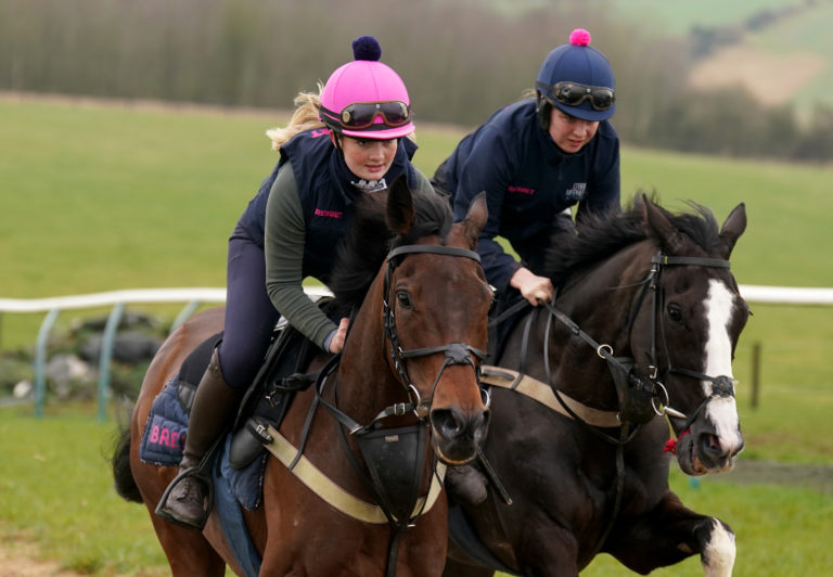 Crambo (left) and Punctuation on the going through their paces on the gallops