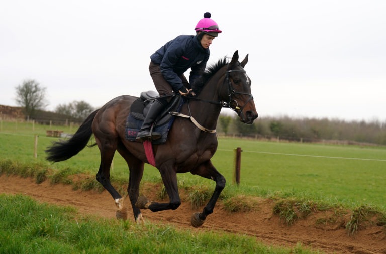 Dysart Enos looked in good form at O'Brien's Ravenswell Farm