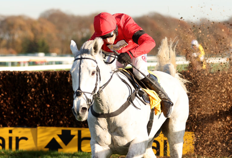 Grey Dawning has taken to fences well