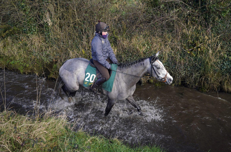 Lossiemouth during a media day at Willie Mullins' yard in Closutton