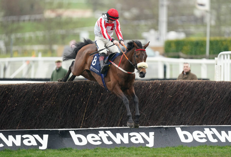 The Real Whacker was a winner at last year's Festival