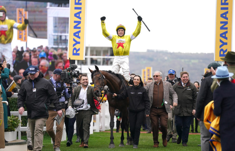 Protektorat and Harry Skelton return after the Ryanair Chase