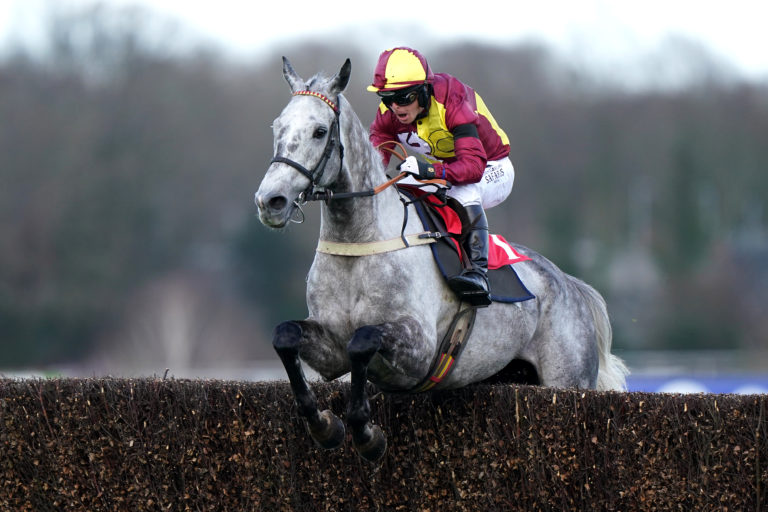 Farceur Du Large in winning action at Sandown