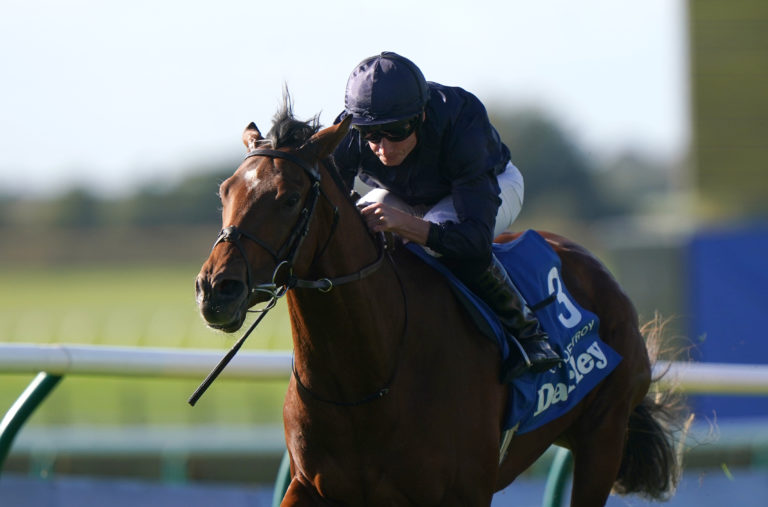 City Of Troy is the heavy favourite for the Qipco 2000 Guineas