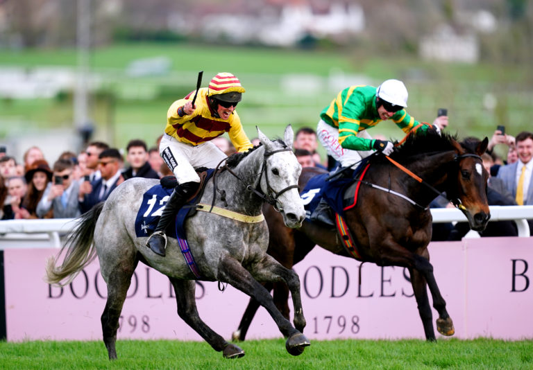 Sine Nomine winning at Cheltenham