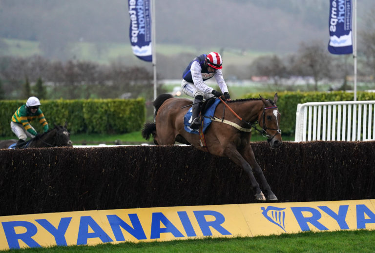 Shakem Up'arry in action at Cheltenham