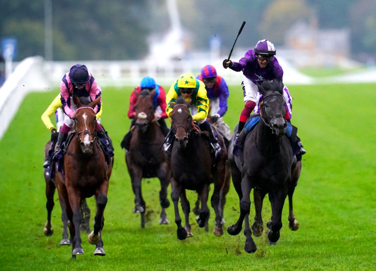 King Of Steel won for the second time at Ascot on British Champions Day