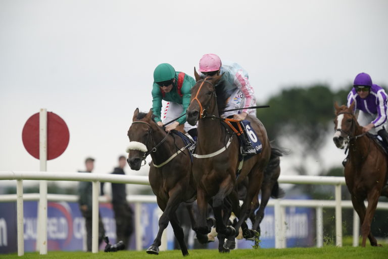 Purple Lily won on her sole juvenile outing at Galway 
