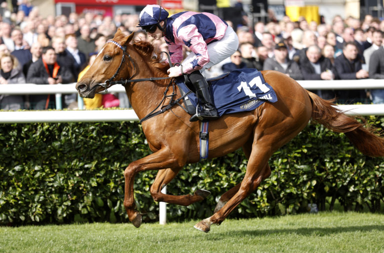 Zminiature could be seen at Royal Ascot later in the summer
