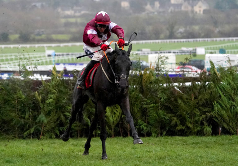 Delta Work in action at Cheltenham