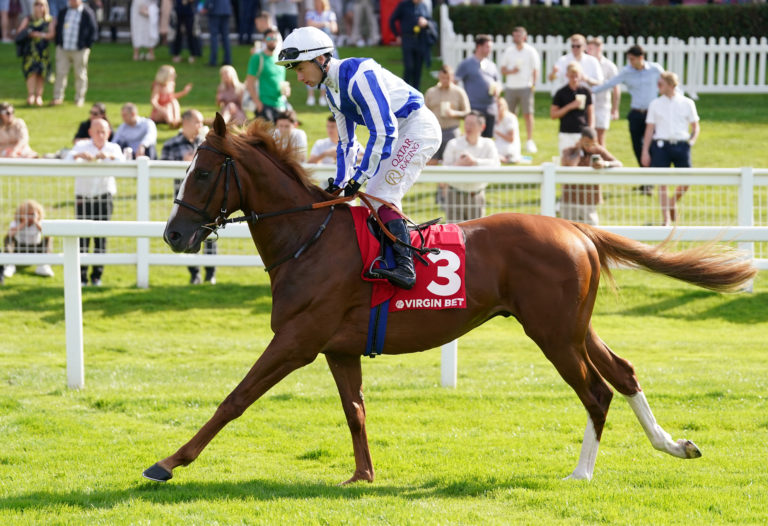 Devil's Point goes to post at Sandown