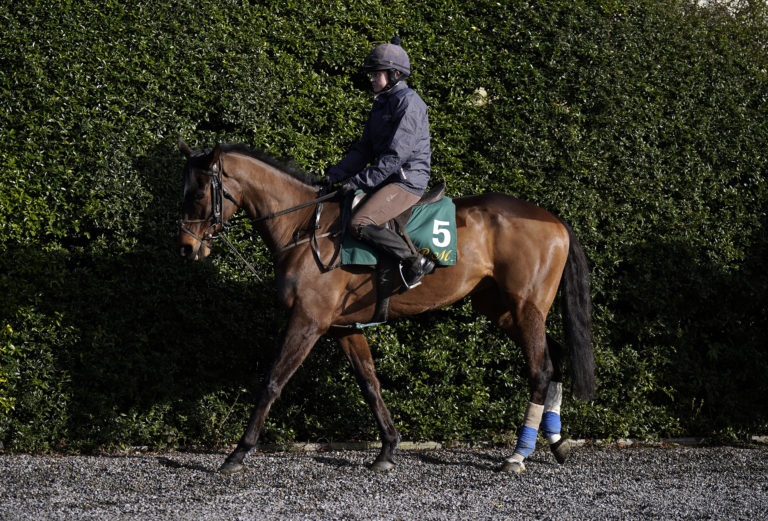 Readin Tommy Wrong at Willie Mullins' yard