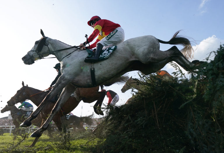Vanillier in Grand National action last year