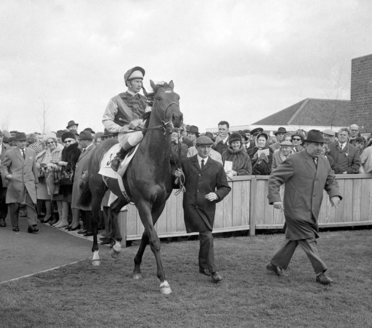 Arguably Vincent O'Brien's greatest horse, Triple Crown winner Nijinsky