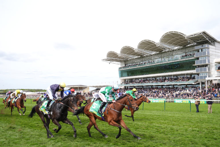 Woodhay Wonder struck again at Newmarket