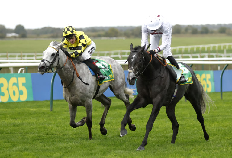 Alsakib (right) winning at Newmarket last season