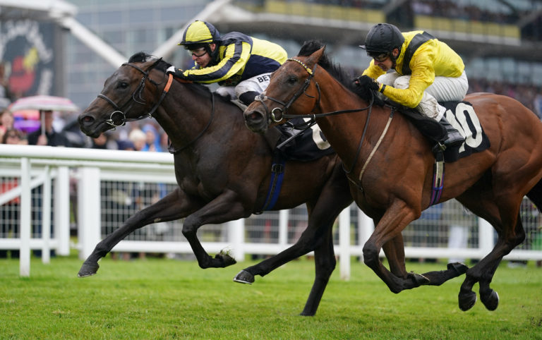 Mister Sketch (right) in the silks of his prior owners