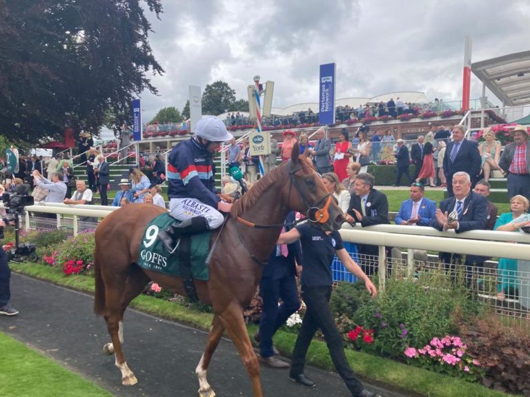 Dragon Leader has been a real money-spinner for connections