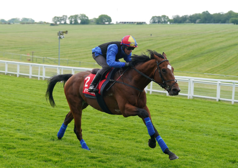 Arrest was favourite for the Derby in 2023