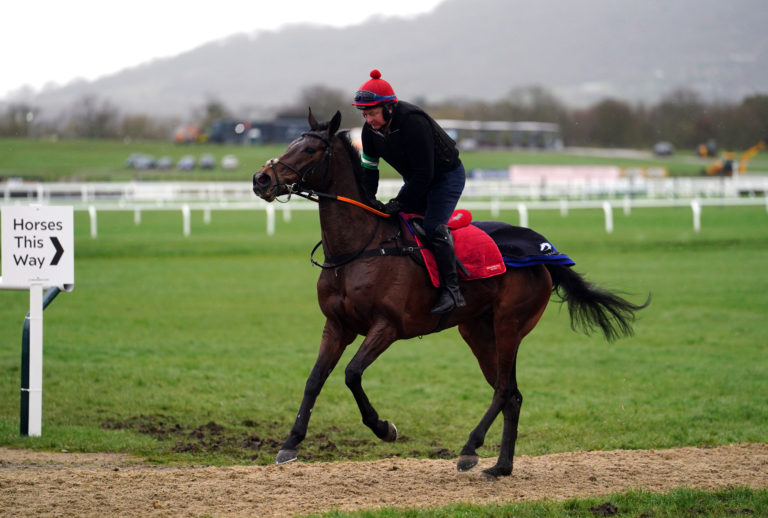 Patrick Neville aboard The Real Whacker on the gallops at Cheltenham