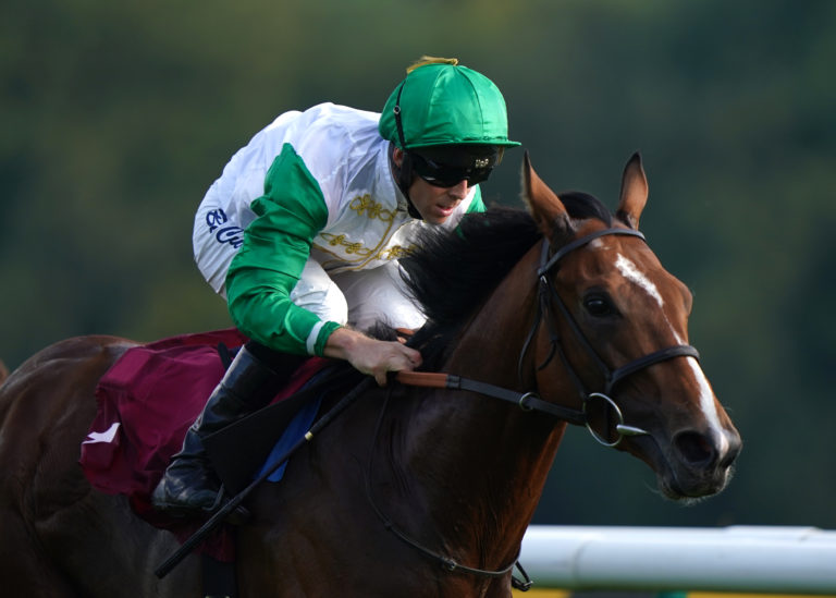 Al Musmak has some smart form to his name