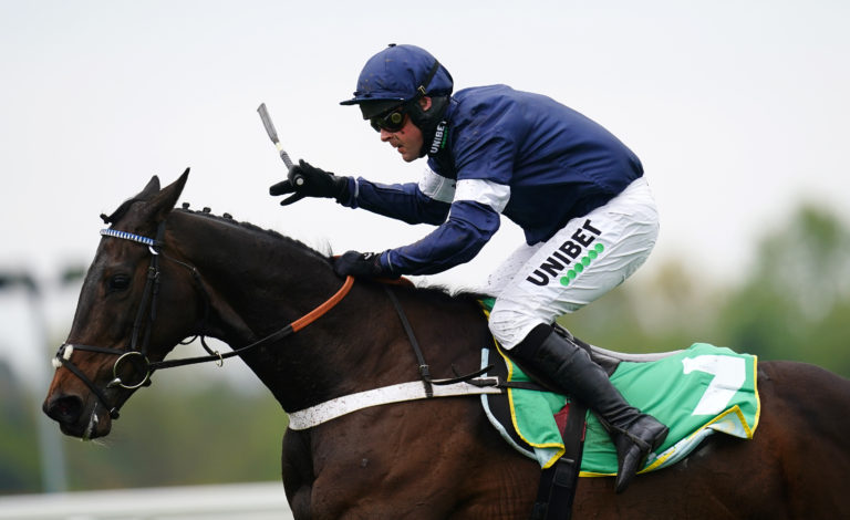 Fantastic Lady came from last to first under Nico de Boinville