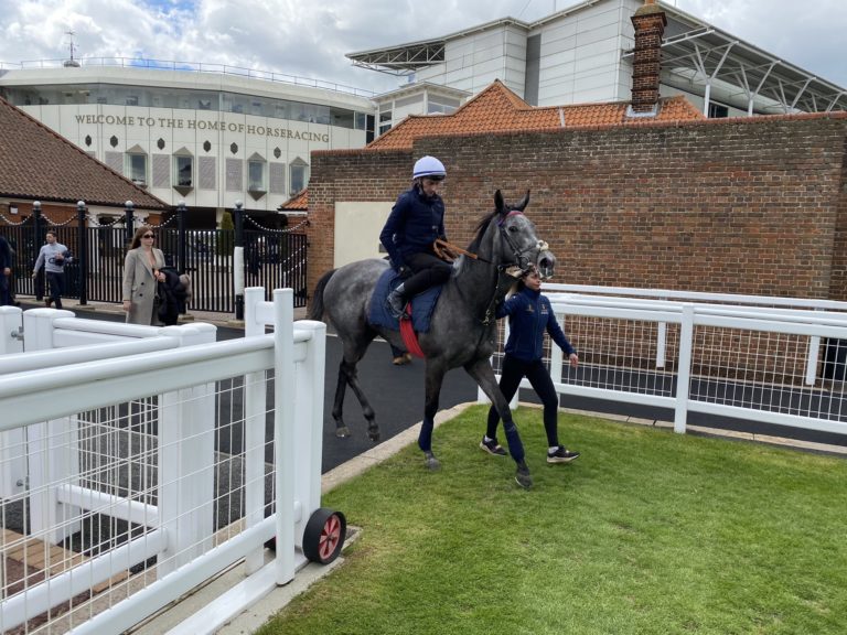 Fallen Angel returns after her gallop