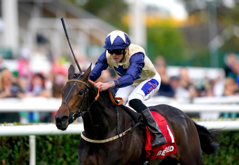 Darnation in action at Doncaster