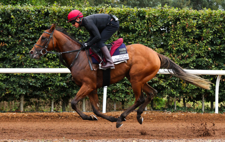 City Of Troy in action on the Ballydoyle gallops