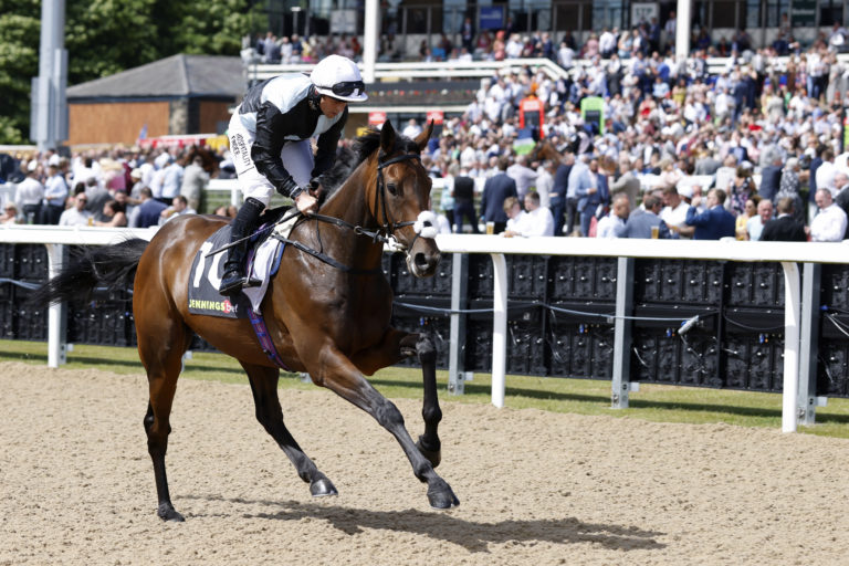 Zoffee in action at Newcastle