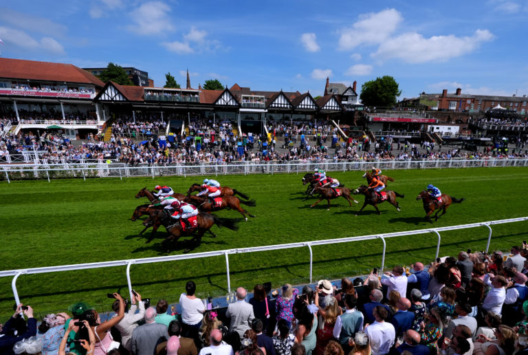 Democracy Dilemma just came out on top in a three-way photo for the opener