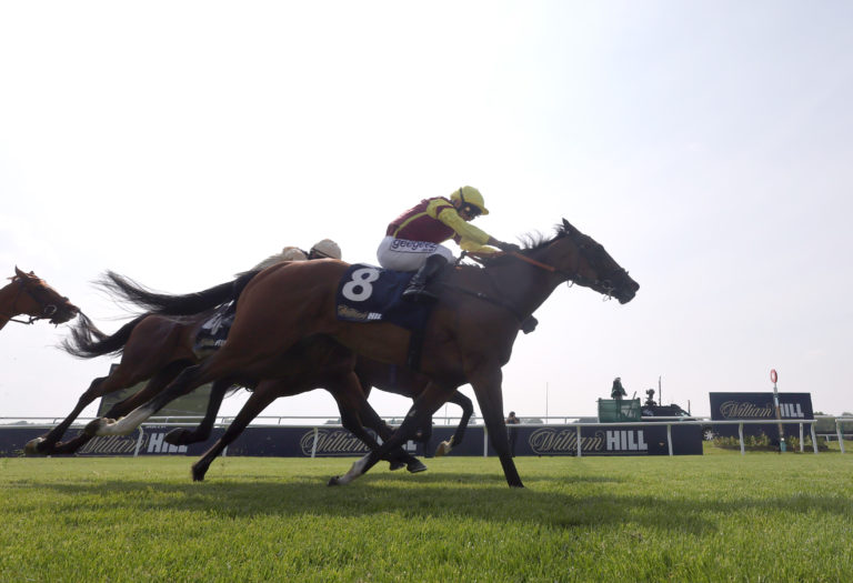 Great Generation is driven to victory by Marco Ghiani