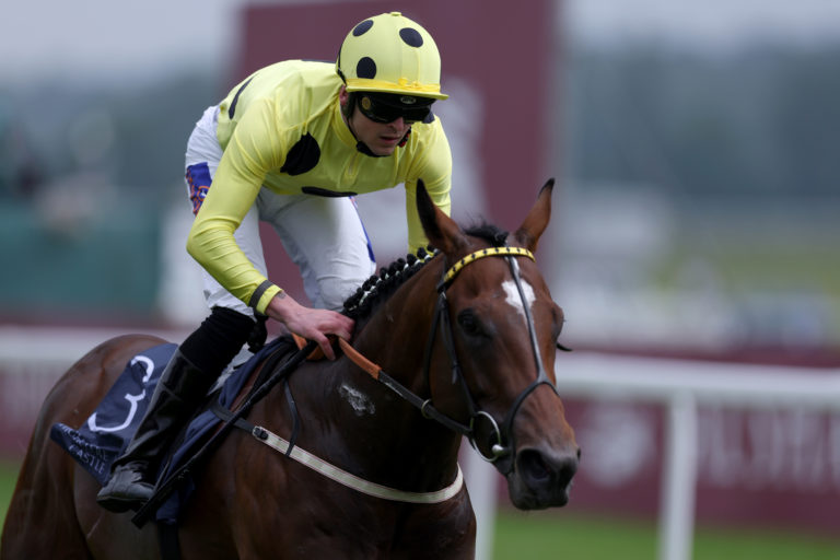 Elite Status impressed at Newbury