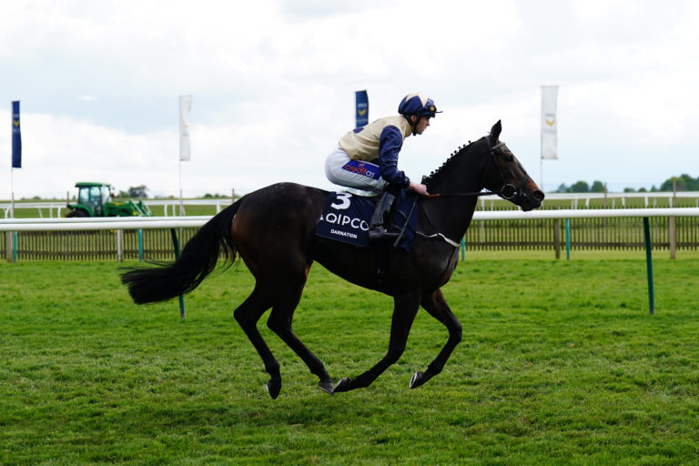 Darnation was a big-race winner in Germany for Karl Burke