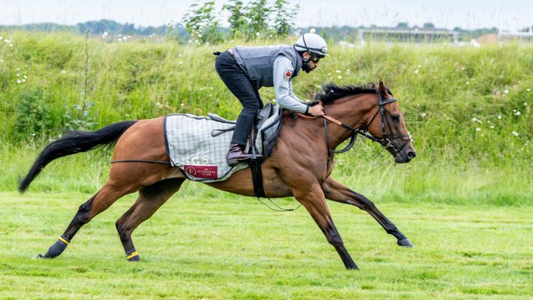 Seven Questions on the gallops in Newmarket 