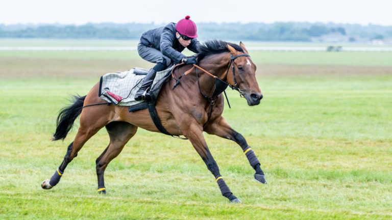 Isle Of Jura is being readied for the Hardwicke Stakes 