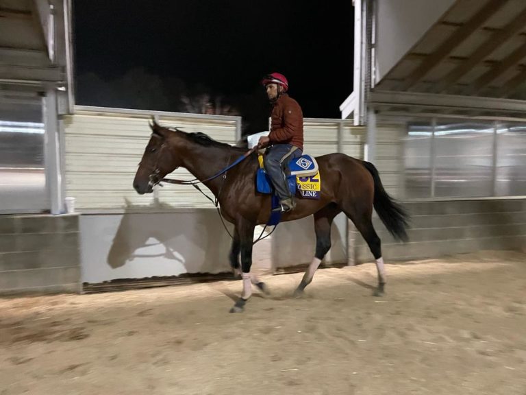 Flightline at Keeneland