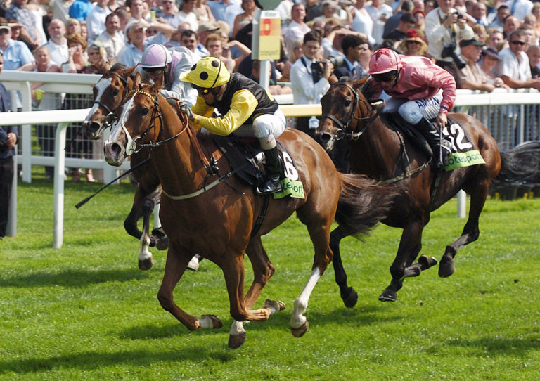 Horse Racing – 2005 Ebor Festival – York Racecourse