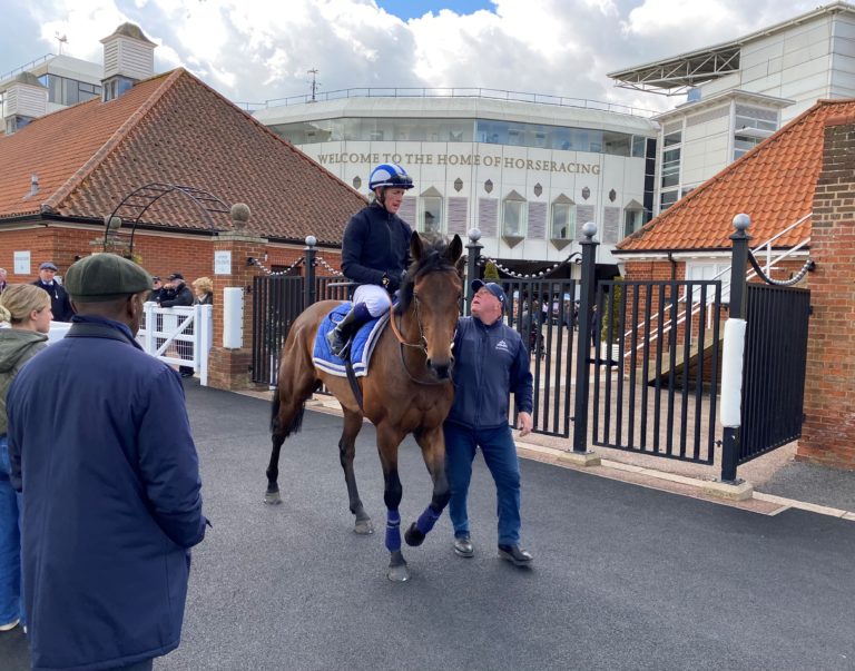 Alyanaabi is a likeable colt