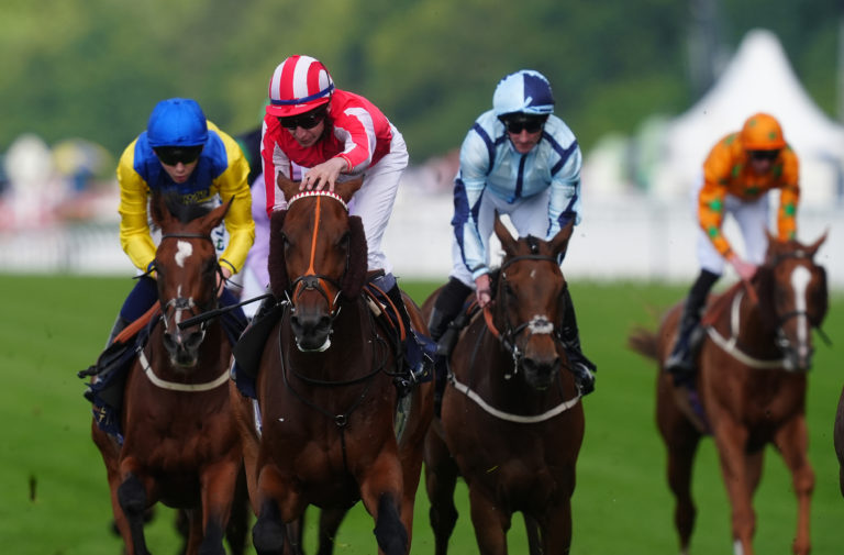 Pledgeofallegiance is heading to Goodwood