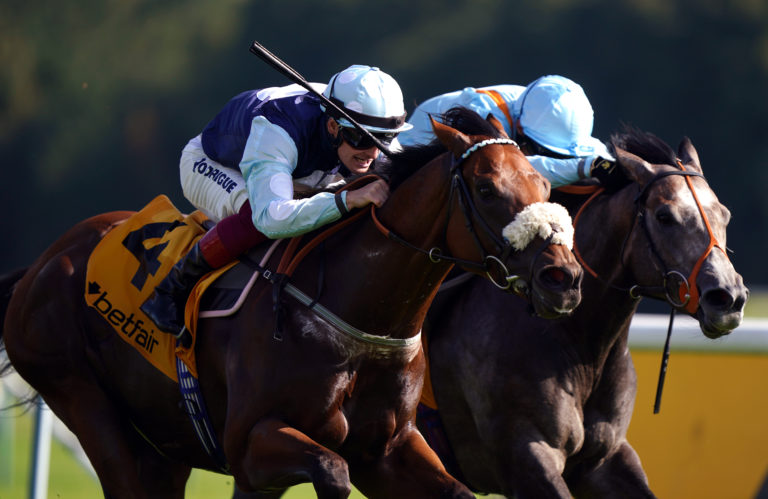 Regional (noseband) has gone close twice this season 