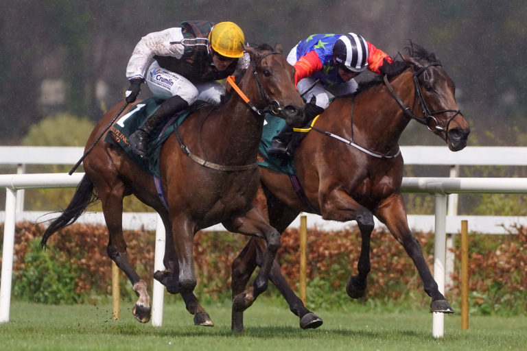 A Lilac Rolla winning at Leopardstown earlier in the year