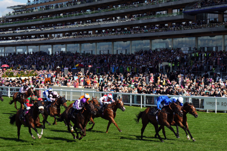 Sonny Liston (white cap) was just touched off by Wild Tiger in the Hunt Cup