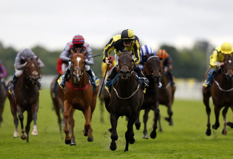 James's Delight (centre) winning at York 