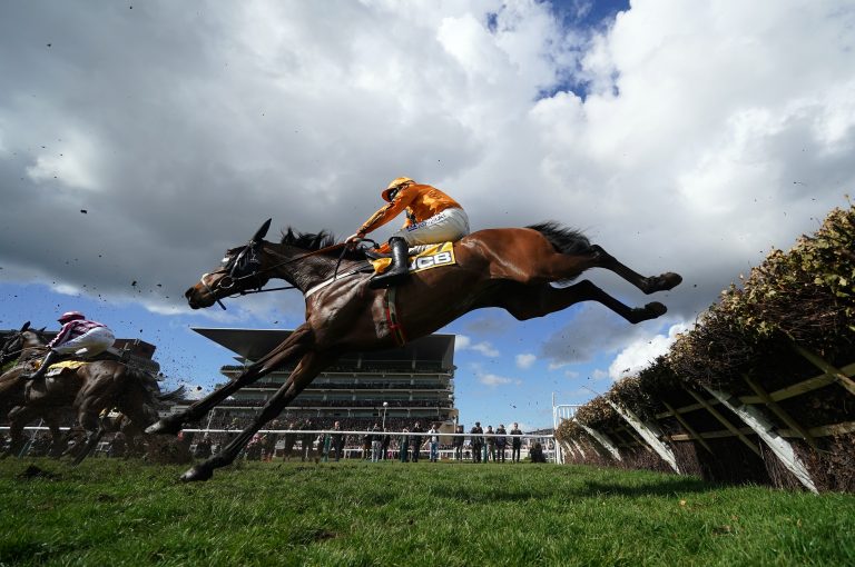 Jacovec Cavern in action over hurdles at Cheltenham