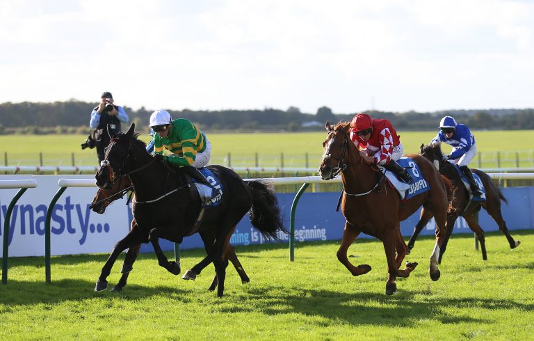 The Shunter winning the Cesarewitch last year