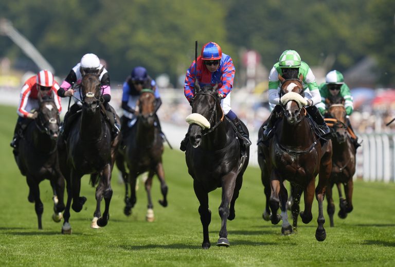 Big Mojo was a big race winner at Goodwood in the summer