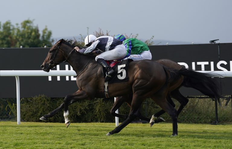Dreamy was delivered late to win at Goodwood on her debut